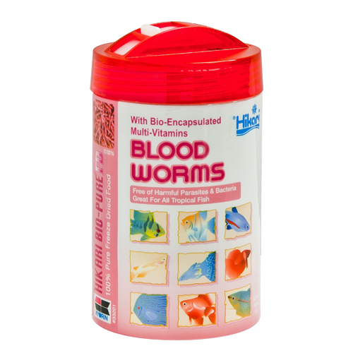 fd blood worms